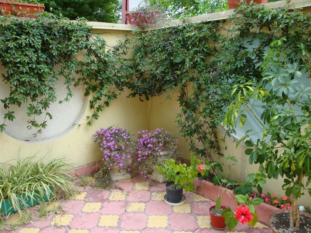 Stela Guest House Tsarevo Oda fotoğraf