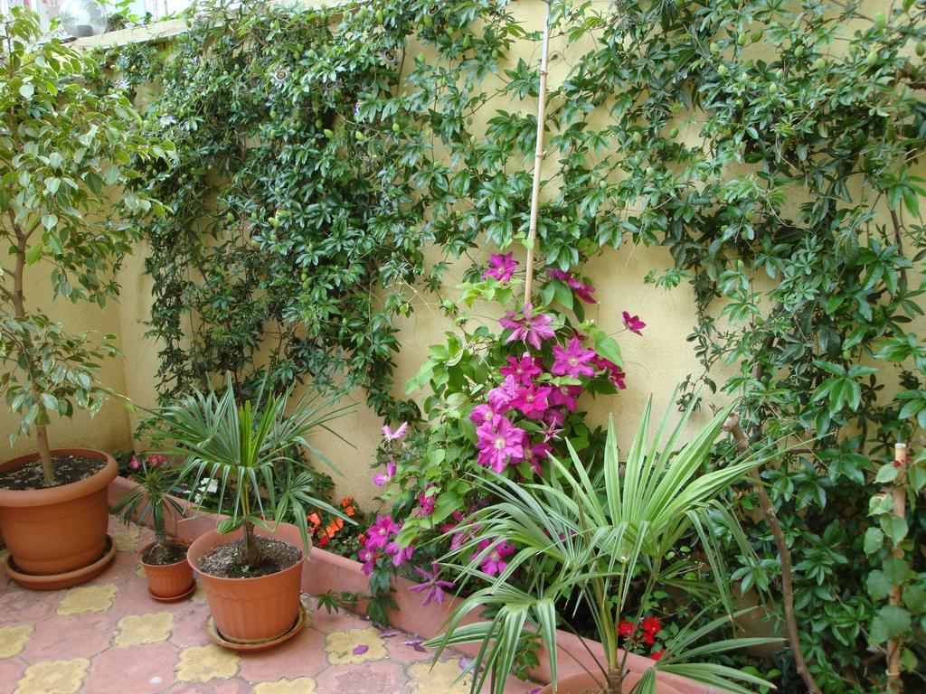 Stela Guest House Tsarevo Dış mekan fotoğraf